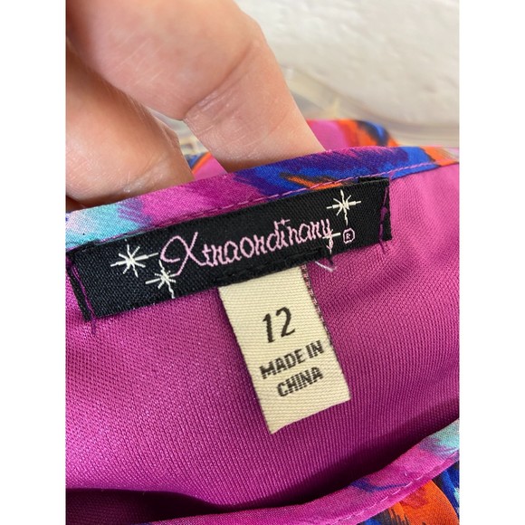 XTRAORDINARY brand Size 12 Dress Lined Dress with Sheer Overlay Pretty - Picture 3 of 10